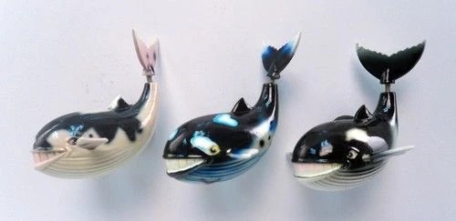 Wackel-Magnete (3D-Motiv) Blauwal/Blue Whale Ocean Life 