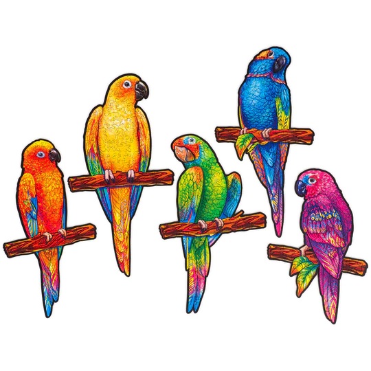 UNIDRAGON - Playful Parrots (30 x 41 cm - Größe L) Holzpuzzle --/bilder/big/9191035_2.jpg