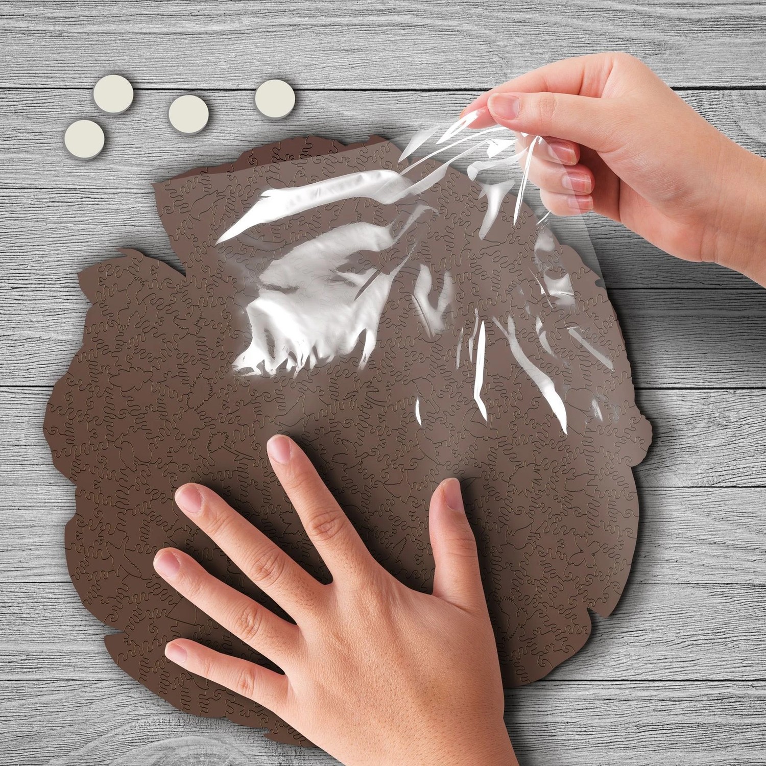 ESCAPE WELT - Tukan (28.5 x 28.5 cm - Größe S) Holzpuzzle - 200 Teile-/bilder/big/9192050_2.jpg