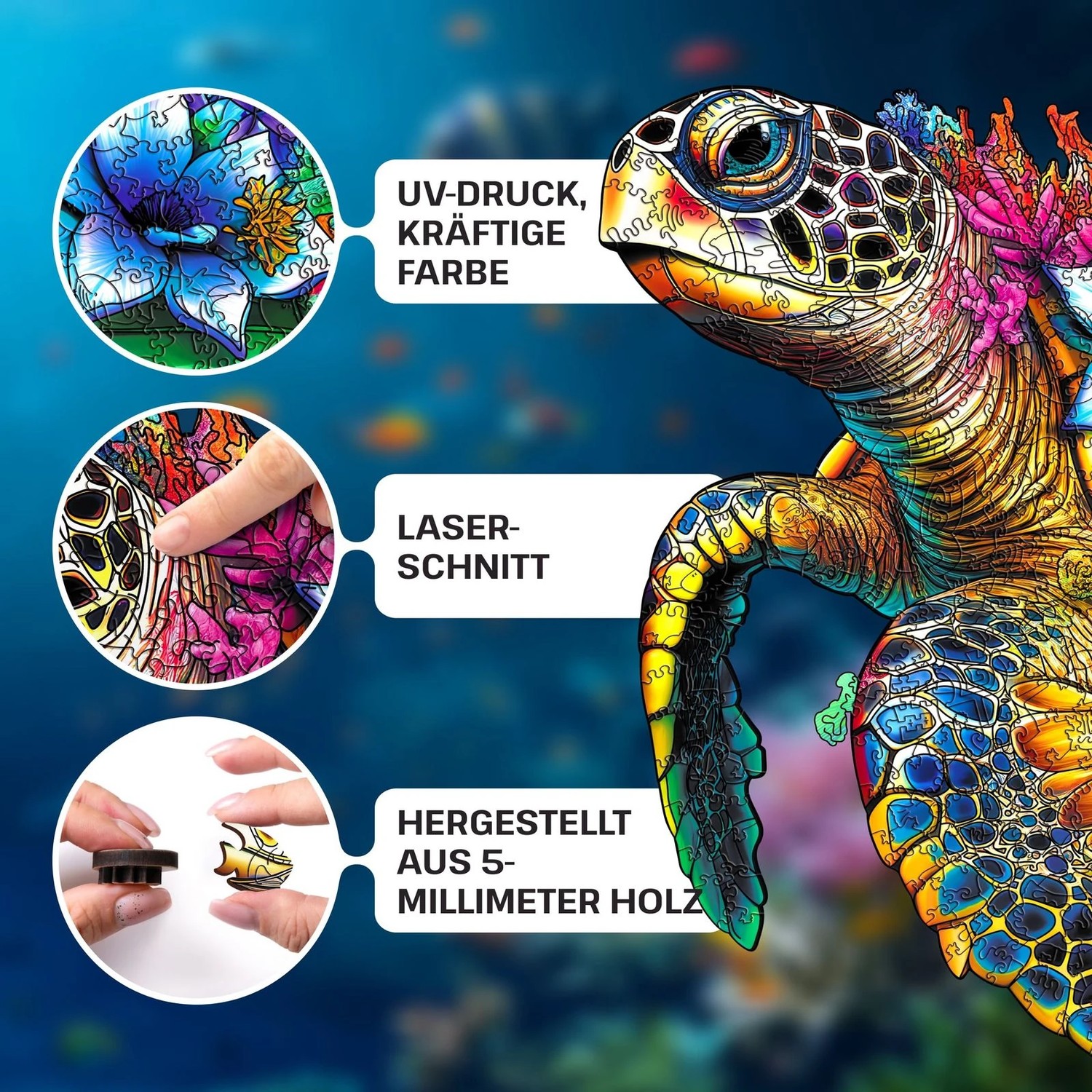 ESCAPE WELT - Schildkröte (28.5 x 28.5 cm - Größe S) Holzpuzzle --/bilder/big/9192055_7.jpg