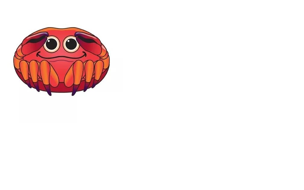 X-Kites Micro Kites - Einleiner-Drachen/Kinderdrachen (1-Leiner) rtf-/bilder/big/Crab.jpg