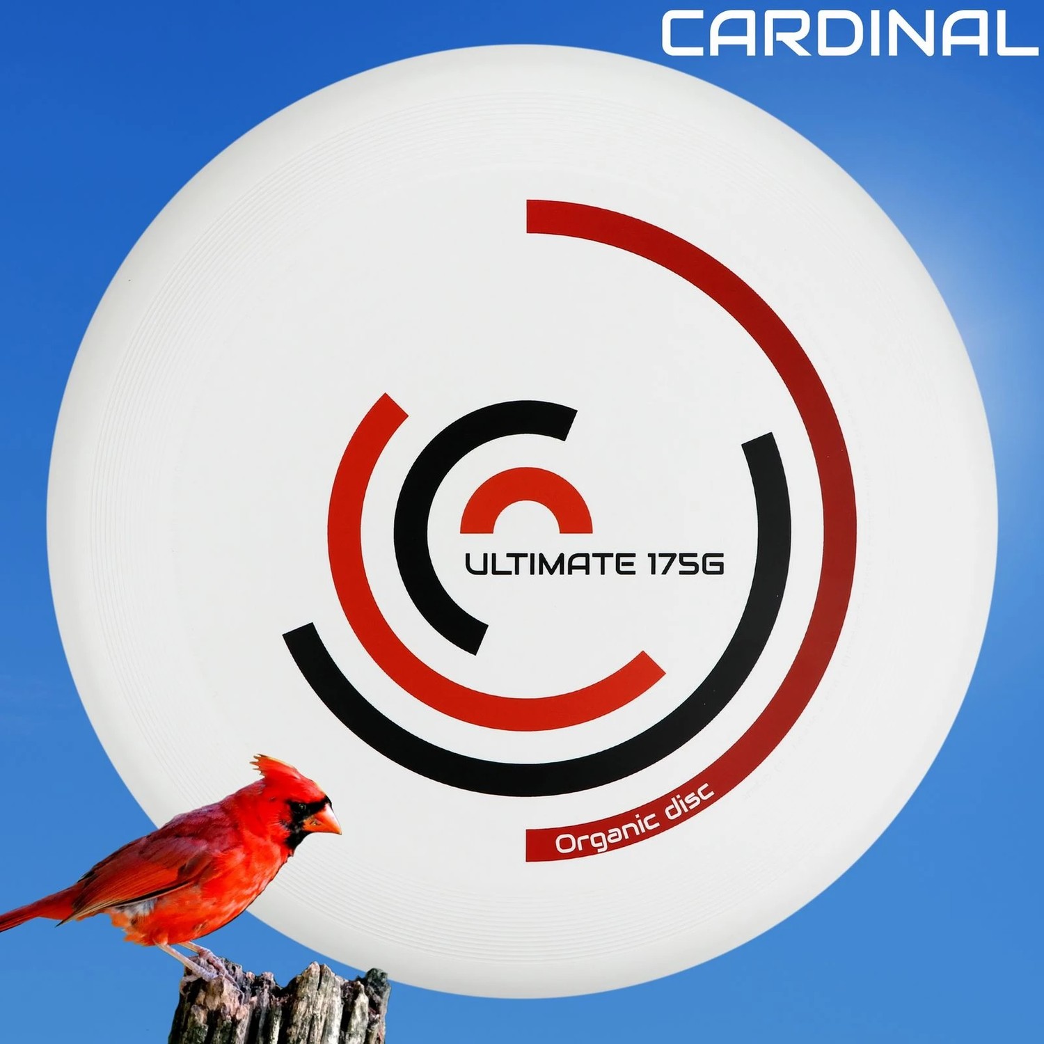 Eurodisc Rotation � 27.5�cm 175�g Cardinal-/bilder/big/EDO175WHROC_Cardinal_Picture_1.jpg