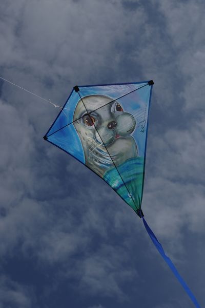 Elliot Künstlerdrachen - Einleiner-Drachen/Kinderdrachen-/bilder/big/IMGP5773.jpg