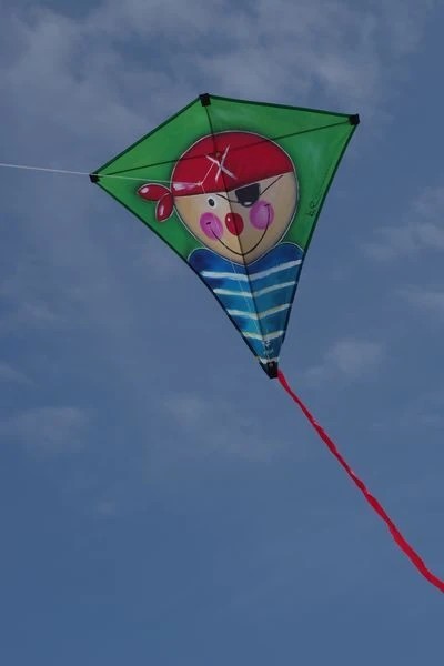 Elliot Künstlerdrachen - Einleiner-Drachen/Kinderdrachen-/bilder/big/IMGP5792.jpg