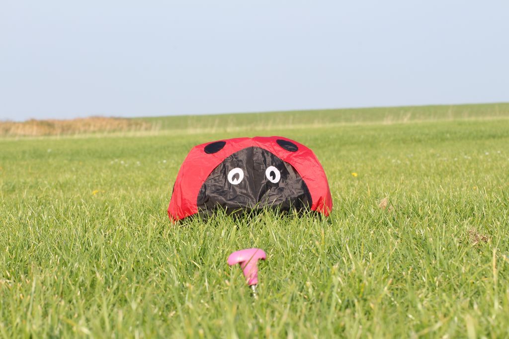 Windsack (Leinenschmuck/Windfänger) Marienkäfer Ø 40 cm Höhe 24 cm-/bilder/big/IMG_8601.jpg