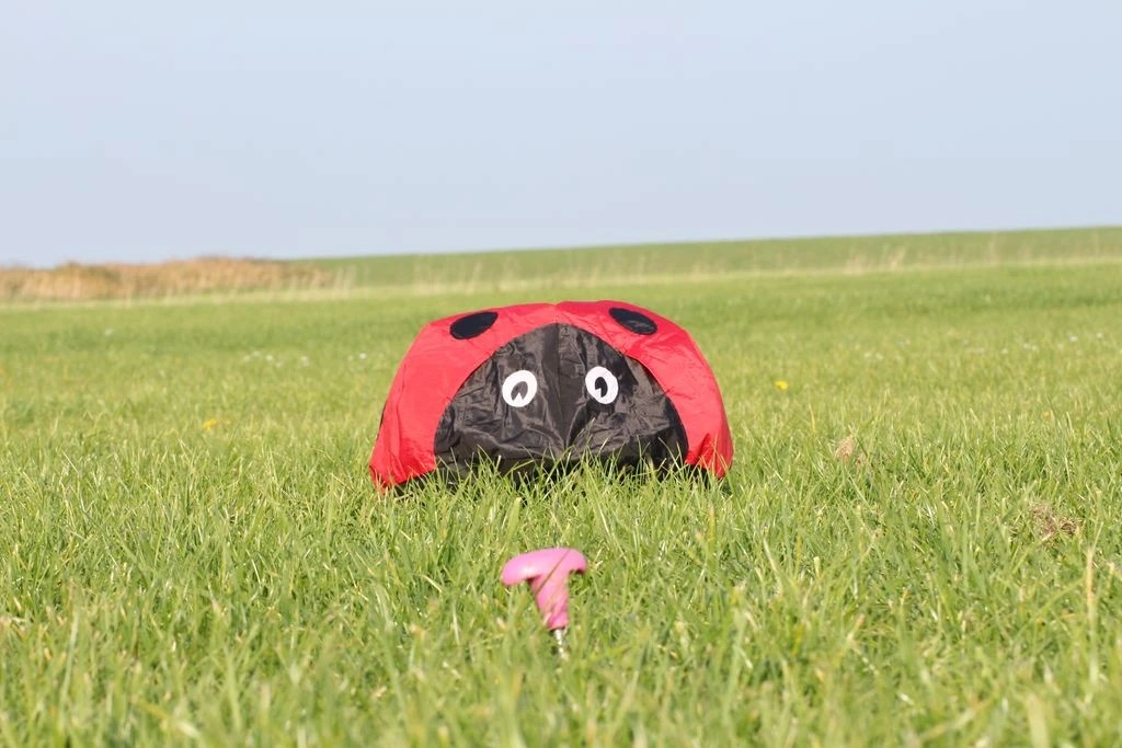 Windsack (Leinenschmuck/Windfänger) Marienkäfer Ø 40 cm Höhe 24 cm-/bilder/big/IMG_8601.jpg