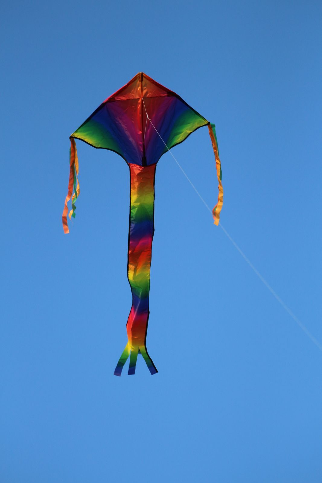 Spider Kites Breitschweif Rainbow Einleiner-Drachen/Kinderdrachen-/bilder/big/IMG_8872.jpg