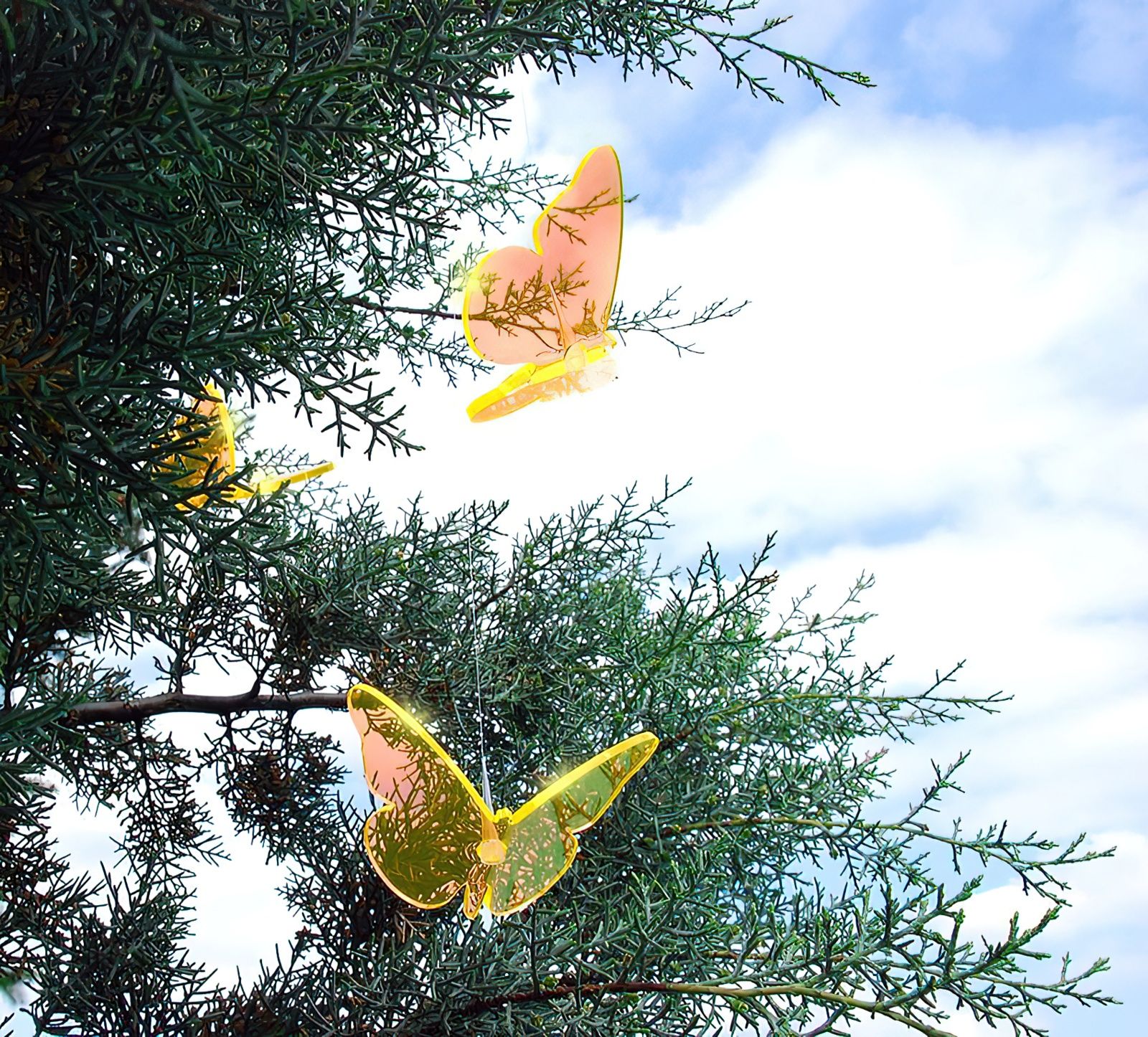 Sonnenfänger Lichtzauber - Schmetterling mini 5 cm gebogen inkl. 20 cm-/bilder/big/LZ_Konifere_Schmetterlinge.jpg