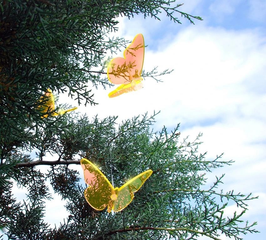 Sonnenfänger Lichtzauber - Schmetterling Magic Superior 50 cm gelb-/bilder/big/LZ_Konifere_Schmetterlinge.jpg