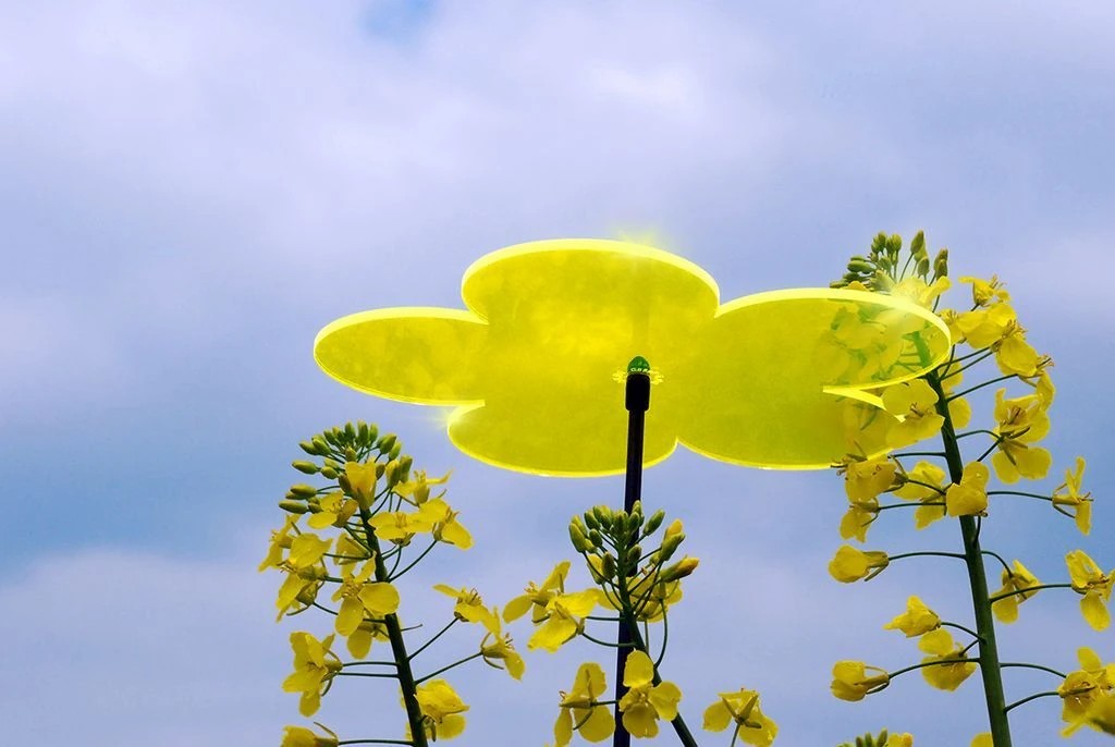 Sonnenfänger Lichtzauber - Blume mini 4 cm inkl. 20 cm Stab gelb-/bilder/big/LZ_Rapsfeld.jpg