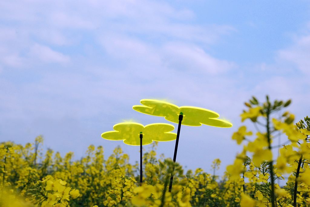 Sonnenfänger Lichtzauber - Blume mini 4 cm inkl. 20 cm Stab gelb-/bilder/big/LZ_Rapsfeld_2.jpg