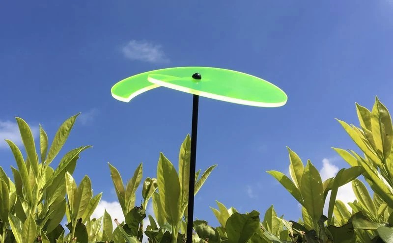 Sonnenfänger Lichtzauber - Scheibe 