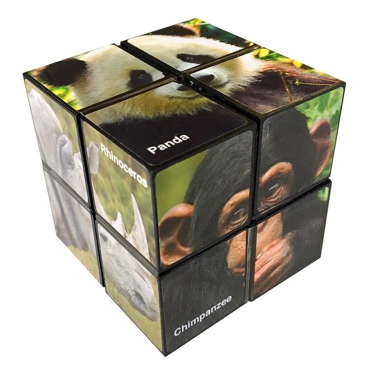 StarCube WILDLIFE Stern-Zauberwürfel - tolles Geschicklichkeits- und-/bilder/big/Starcube%20Wildlife%201.jpg