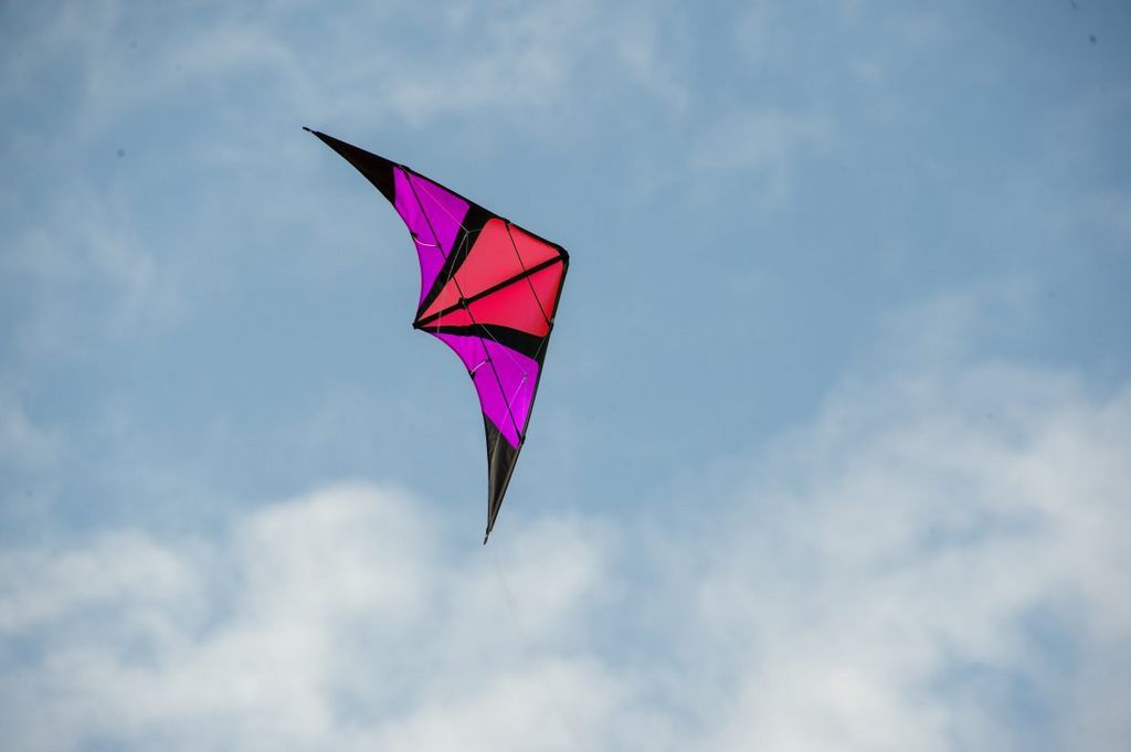 Spiderkites Wingman - Zweileiner-Lenkdrachen/Stabdrachen (2-Leiner)-/bilder/big/Wingman-pink.jpg