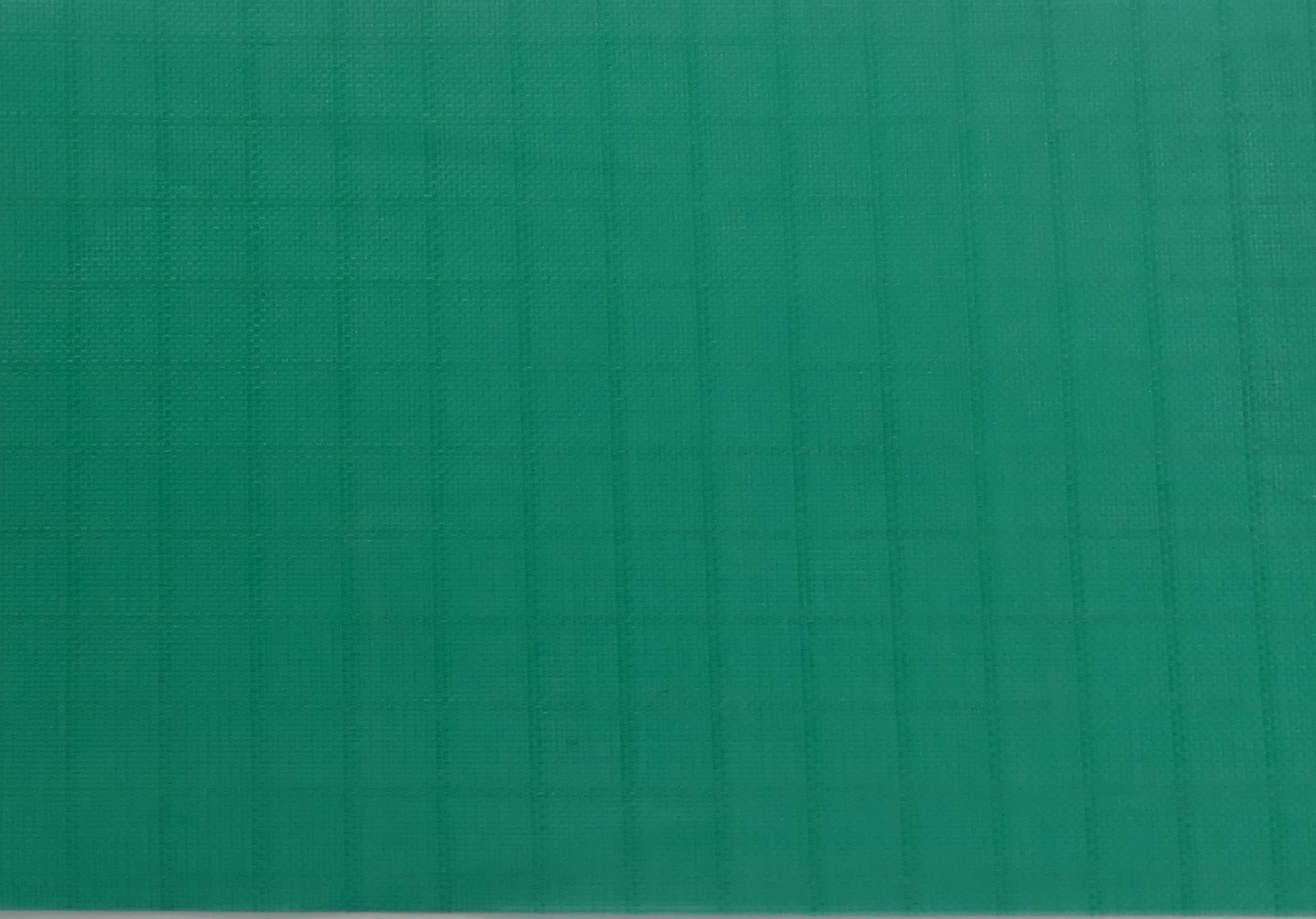 5 Meter - Elltex Spinnakertuch-Nylon reißfestes Gewebetuch mit Ripstop 150 cm breit green V20 PU-beschichtet für Drachen- und Modellbau