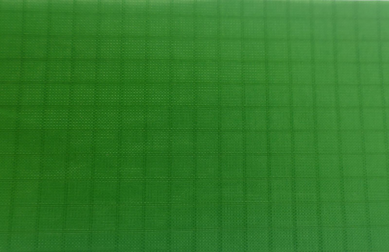 10 Meter - Elltex Spinnakertuch-Nylon reißfestes Gewebetuch mit Ripstop 150 cm breit light green 369C PU-beschichtet für Drachen- und Modellbau
