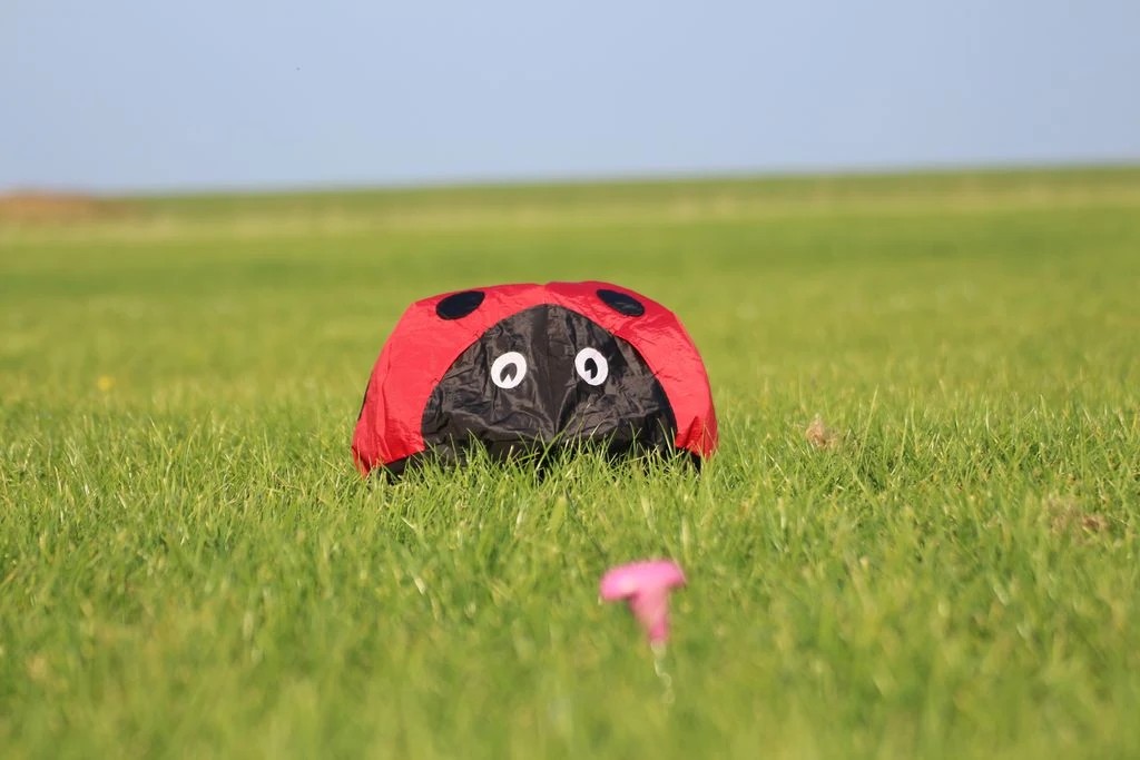 Windsack (Leinenschmuck/Windfänger) Marienkäfer Ø 40 cm Höhe 24 cm schwarz/rot