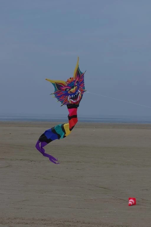 WindNSun Einleiner-Drachen/Kinderdrachen (1-Leiner) rtf (flugfertig)-/bilder/big/imgp5699.jpg