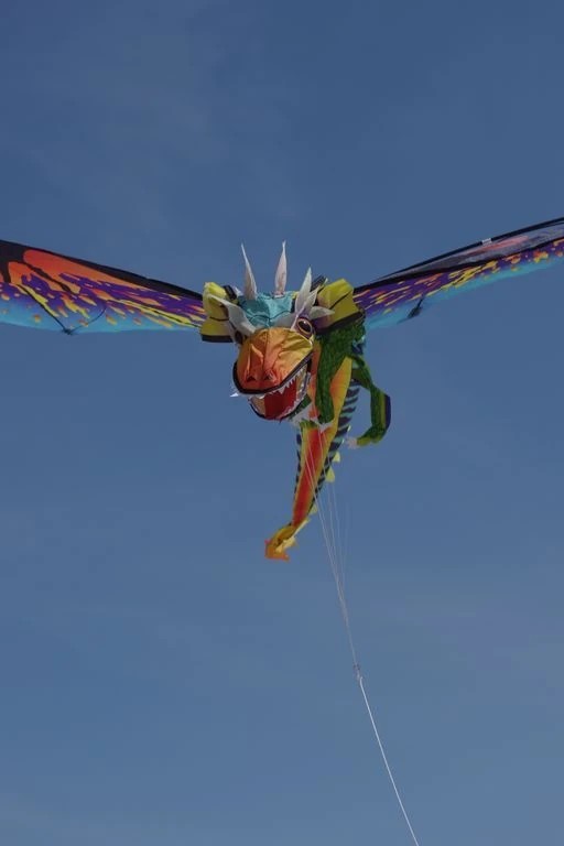 WindNSun 3D-Einleiner-Drachen/Kinderdrachen (1-Leiner) rtf-/bilder/big/imgp5871.jpg