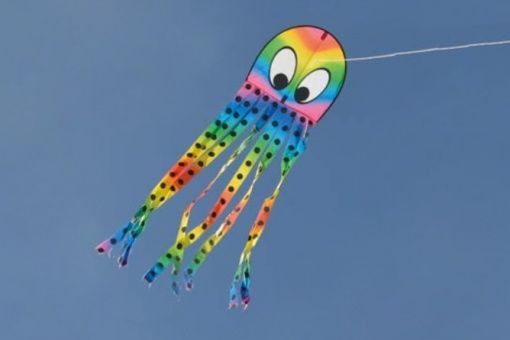 Spiderkites Kalle Krake Einleiner-Drachen/Kinderdrachen (1-Leiner) rtf (flugfertig) 190 cm x 50 cm Gfk-Gestänge rainbow