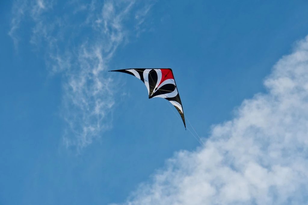 Spiderkites Maraca Mini-/bilder/big/may_6371b.jpg