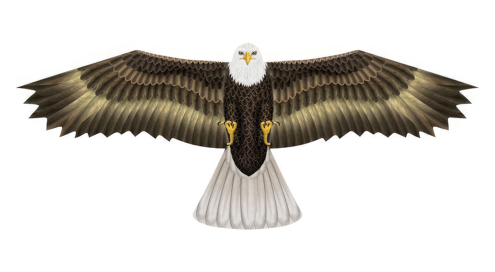X-Kites Birds of Prey - Einleiner-Drachen/Kinderdrachen (1-Leiner) rtf (flugfertig) Weißkopfseeadler 50 cm x 122 cm