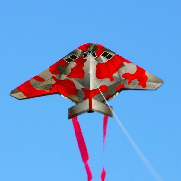X-Kites Mini Micro Kites - Einleiner-Drachen/Kinderdrachen (1-Leiner) rtf (flugfertig) Tarnflieger Stealth 11 cm x 12 cm