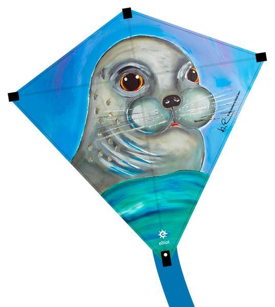 Elliot Künstlerdrachen - Einleiner-Drachen/Kinderdrachen-/bilder/big/rita-robbe.jpg