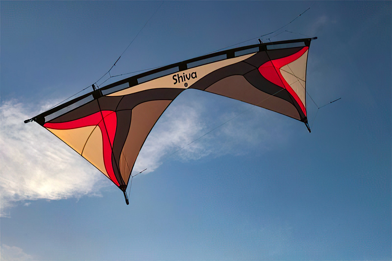 Spiderkites Shiva - Vierleiner-Lenkdrachen/Stabdrachen (4-Leiner) rtf-/bilder/big/shiva_grau_rot.jpg