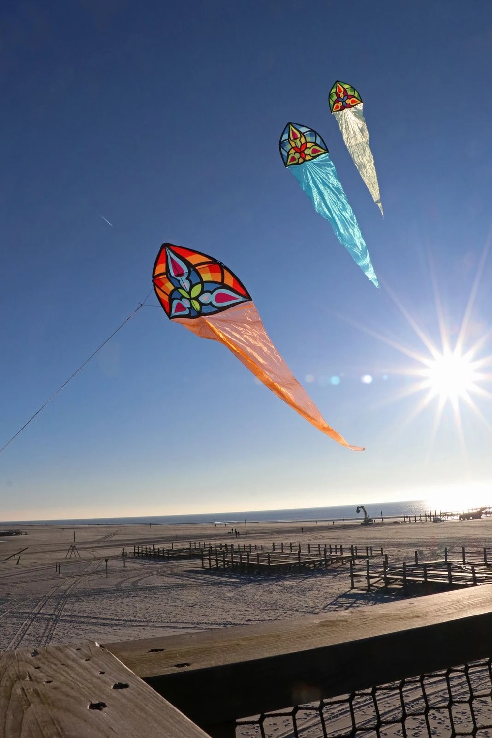 Spiderkites Carsten Domanns Starlight Einleiner-Drachen / (1-Leiner)-/bilder/big/starlight1.jpg