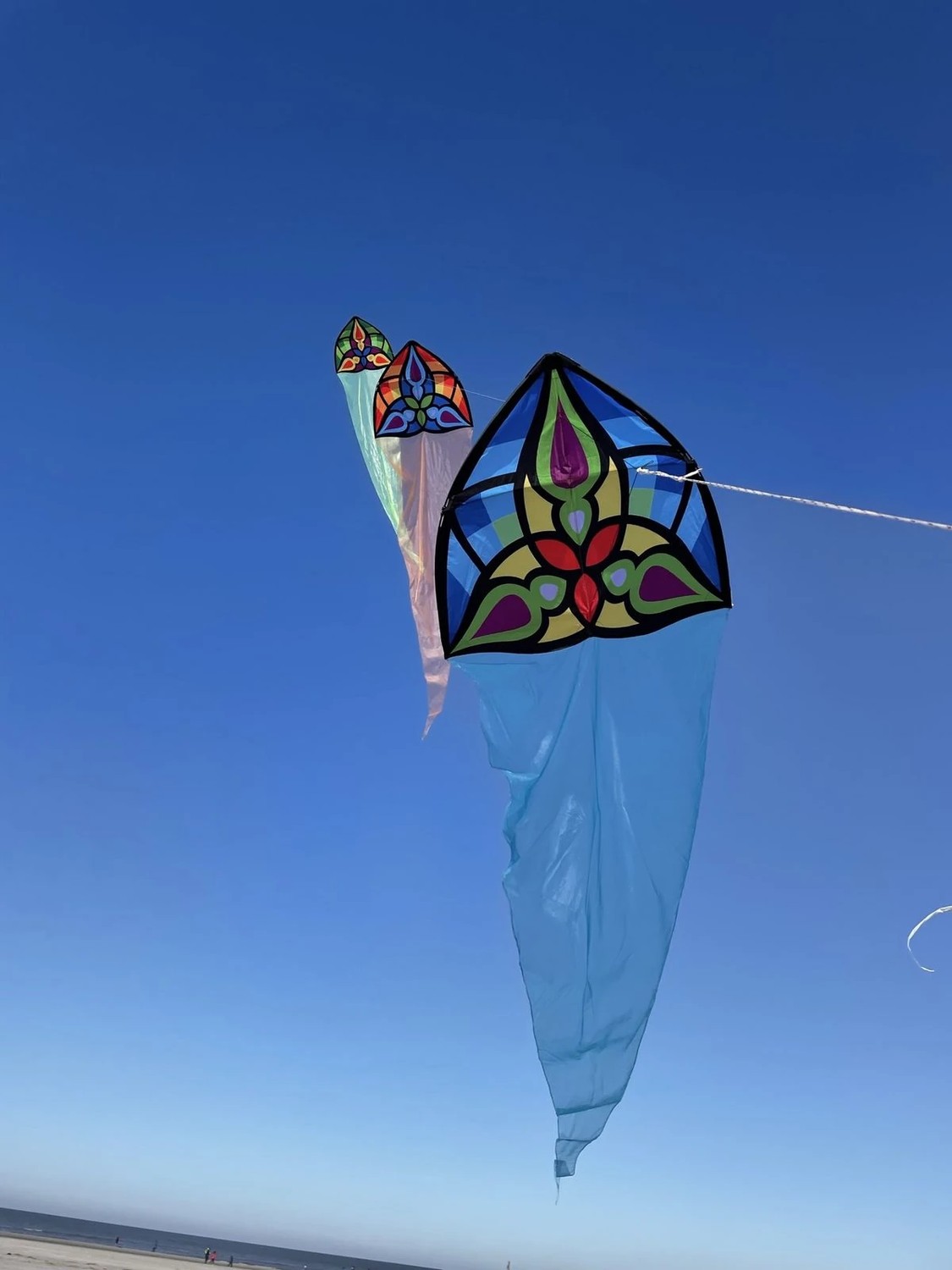 Spiderkites Carsten Domanns Starlight Einleiner-Drachen / (1-Leiner)-/bilder/big/starlight2.jpg