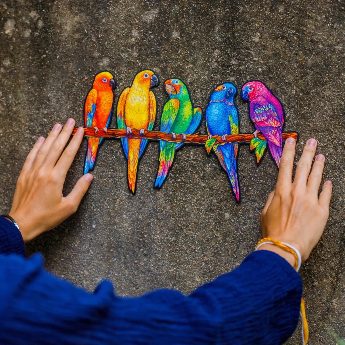 UNIDRAGON - Aufhänge-Set passend für alle Puzzles und Größen-/bilder/big/wandbefestigung_4.jpg