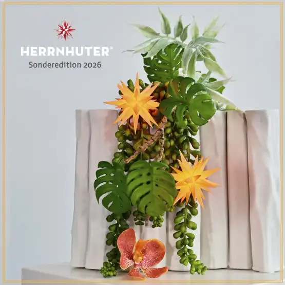Herrnhuter Stern A1 Ø 8 cm Kunststoffstern inkl. LED - apricot - Sonderedition 2026 Wunderschöner und sehr hochwertiger Weihnachtsstern für Innen und Außen - das Original mit 25 Zacken