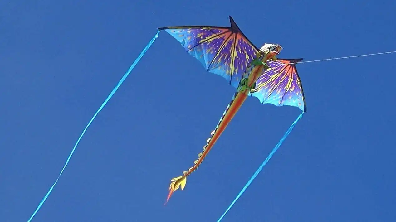 WindNSun 3D-Einleiner-Drachen/Kinderdrachen (1-Leiner) rtf (flugfertig) Drache 193 cm x 188 cm Polyestertuch mit Druck Gfk-Gestänge bunt