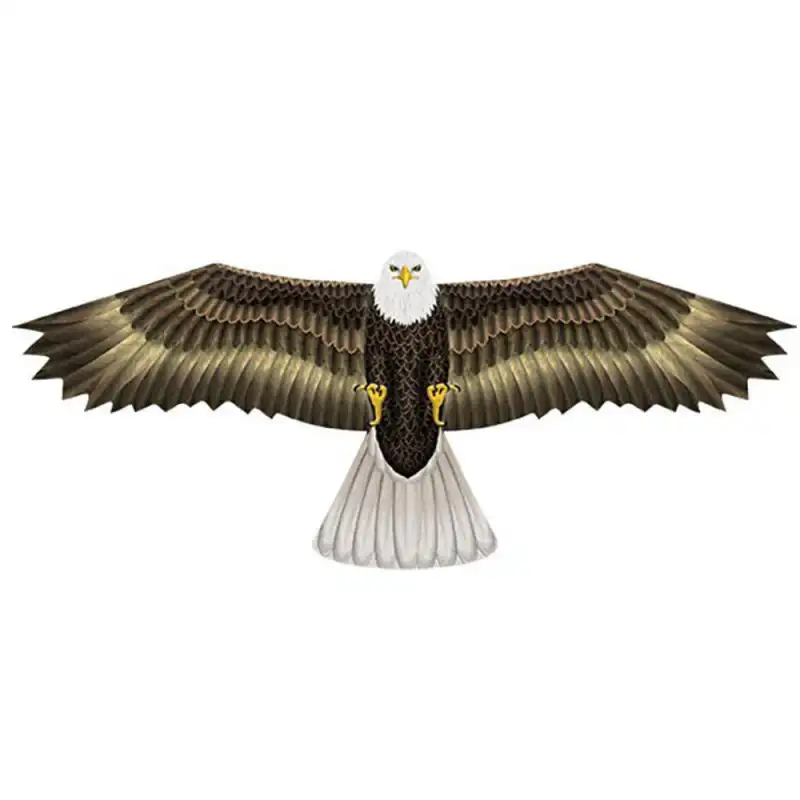 WindNSun 3D-Einleiner-Drachen/Kinderdrachen (1-Leiner) rtf (flugfertig) Eagle 193 cm x 188 cm Polyestertuch mit Druck Gfk-Gestänge bunt