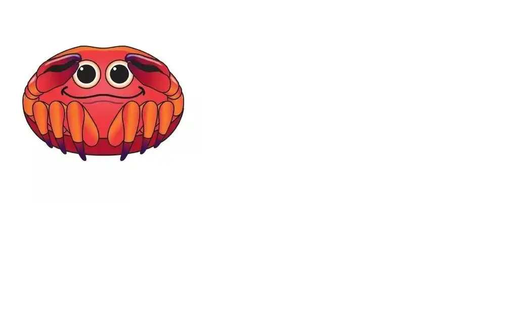 X-Kites Micro Kites - Einleiner-Drachen/Kinderdrachen (1-Leiner) rtf (flugfertig) Krabbe 12 cm x 9 cm bunt