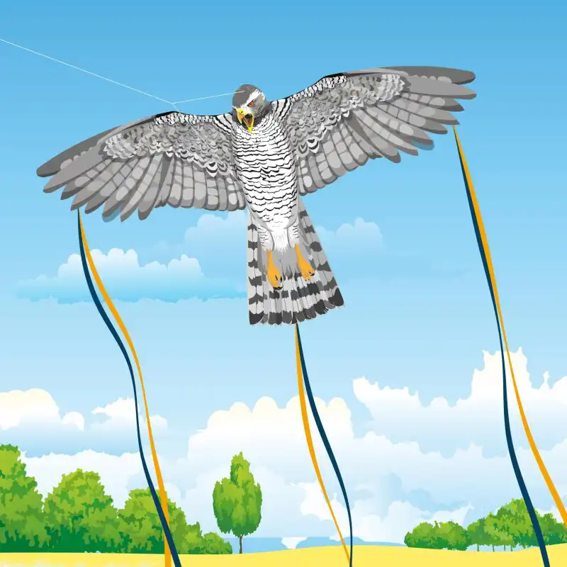 Spider Kites Habicht Einleiner-Drachen/Kinderdrachen (1-Leiner) rtf (flugfertig) Habicht 140 cm x 118 cm bunt