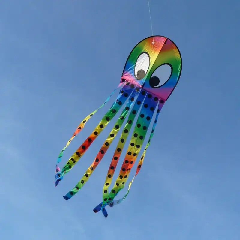 Spider Kites Kalle Krake Einleiner-Drachen/Kinderdrachen (1-Leiner) rtf (flugfertig) Kalle Krake 50 cm x 190 cm bunt