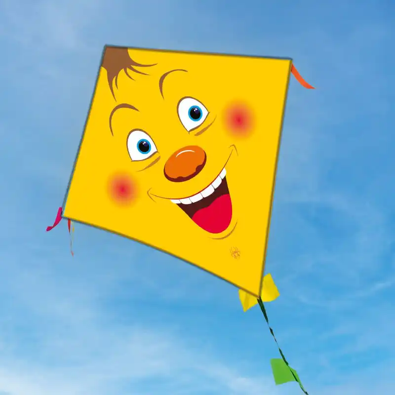 Spiderkites - Einleiner-Drachen/Kinderdrachen (Mini Eddy/1-Leiner) rtf (flugfertig) Jimmi Mini 50 cm x 50 cm bunt