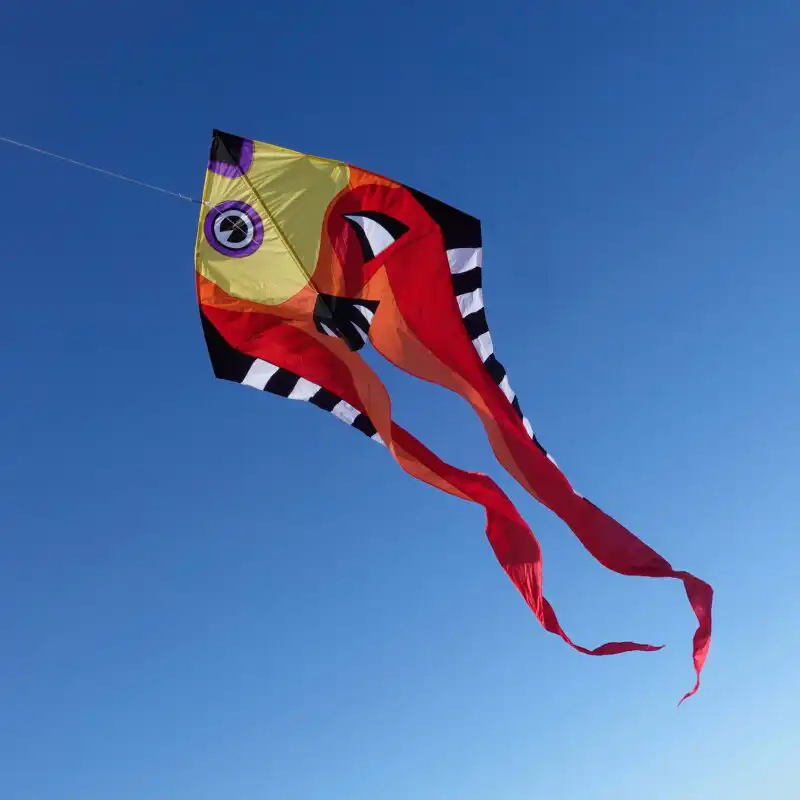 Spiderkites Pyro Delta Fisch Einleiner-Drachen/Kinderdrachen (1-Leiner) rtf (flugfertig) 270 cm x 860 cm Gfk-Gestänge bunt