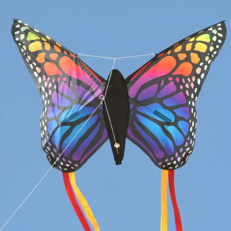 Spiderkites Schmetterling Einleiner-Drachen/Kinderdrachen (1-Leiner) rtf (flugfertig) 90 cm x 66 cm Gfk-Gestänge rainbow