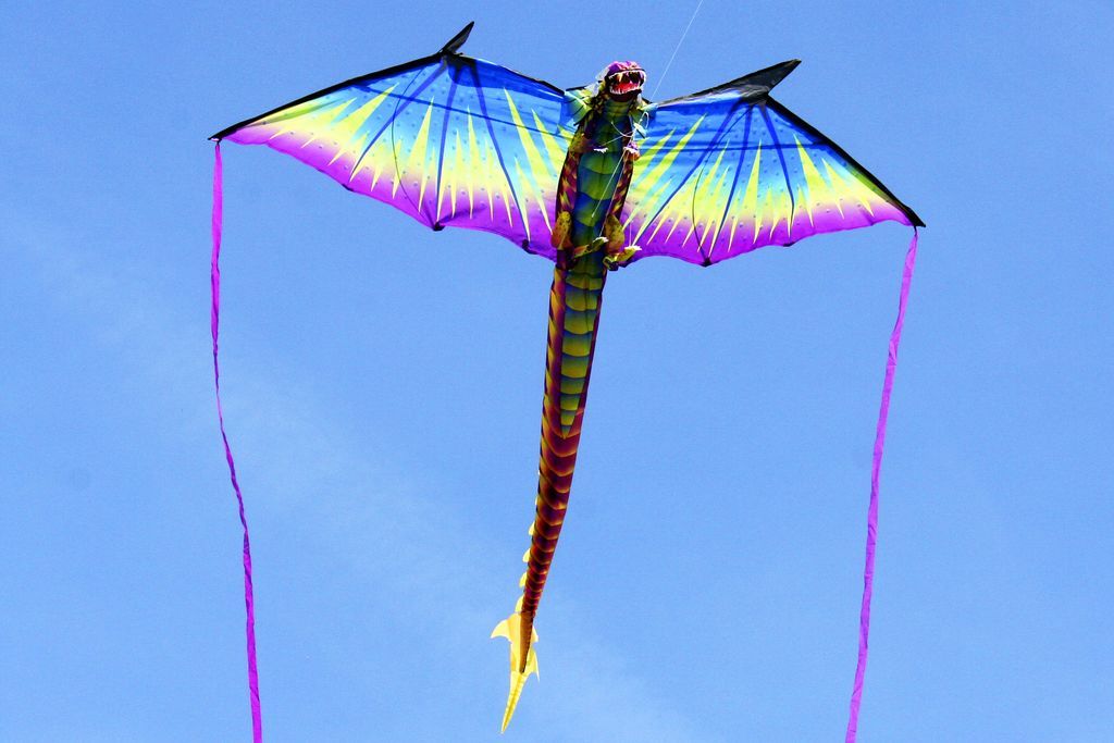 -/bilder/big/x-kites-3d-drache.jpg