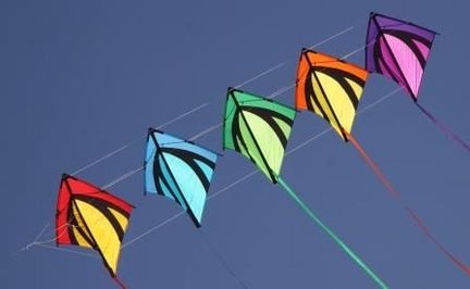 Spiderkites Zweileiner-Lenkdrachen/Stabdrachen (2-Leiner), rtf (flugfertig), Leon 5er-Kette, 80 cm x 83 cm (Einzeldrachen), Gfk-Gestänge, rot/gelb, grün/hellgrün, blau/mittelblau Spiderkites Zweileiner-Lenkdrachen/Stabdrachen (2-Leiner), rtf (flugfertig), Leon 5er-Kette, 80 cm x 83 cm (Einzeldrachen), Gfk-Gestänge, rot/gelb, grün/hellgrün, blau/mittelblau