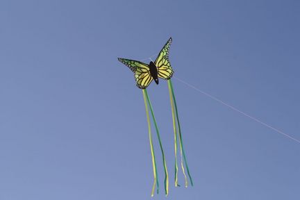Spiderkites Schmetterling Einleiner-Drachen/Kinderdrachen (1-Leiner), rtf (flugfertig), 90 cm x 66 cm, Gfk-Gestänge, gelb Spiderkites Schmetterling Einleiner-Drachen/Kinderdrachen (1-Leiner), rtf (flugfertig), 90 cm x 66 cm, Gfk-Gestänge, gelb