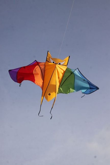 Spiderkites Fledermaus Einleiner-Drachen/Kinderdrachen (1-Leiner), rtf (flugfertig), 150 cm x 80 cm, Gfk-Gestänge, rainbow Spiderkites Fledermaus Einleiner-Drachen/Kinderdrachen (1-Leiner), rtf (flugfertig), 150 cm x 80 cm, Gfk-Gestänge, rainbow