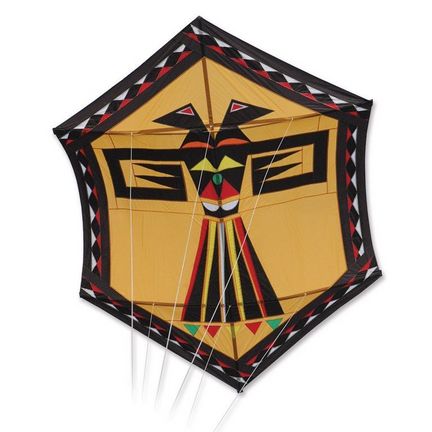 Premier Kites Eagle of Paradox Golden Einleiner-Drachen/Kastendrachen (1-Leiner), 290 x 238 cm, Cfk/Gfk-Gestänge, bunt
