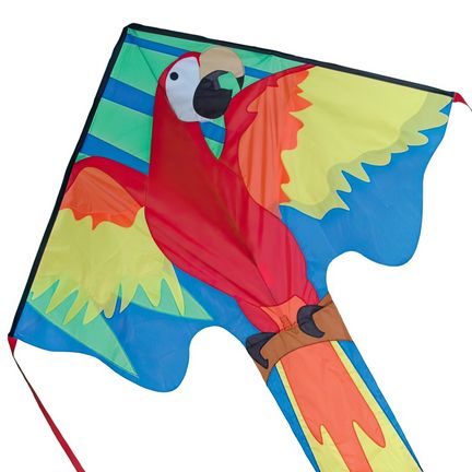 Premier Kites Delta Large Easy Flyer Kite - Einleiner-Drachen/Kinderdrachen (1-Leiner) rtf (flugfertig) Macaw 117 cm x 229 cm bunt