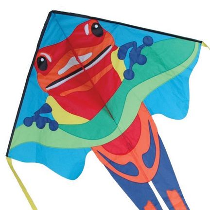 Premier Kites Delta Large Easy Flyer Kite - Einleiner-Drachen/Kinderdrachen (1-Leiner), rtf (flugfertig), Poison Dart, 117 cm x 229 cm, bunt