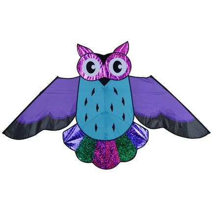 Premier Kites Holographic Owl Purple Einleiner-Drachen (1-Leiner) rtf - 144 cm x 84 cm Gfk-Gestänge lila/blau