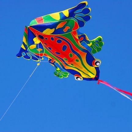 X-Kites Mini Nylon Kites Einleiner-Drachen/Kinderdrachen (1-Leiner) rtf (flugfertig) Frosch 45 cm bis 55 cm bunt